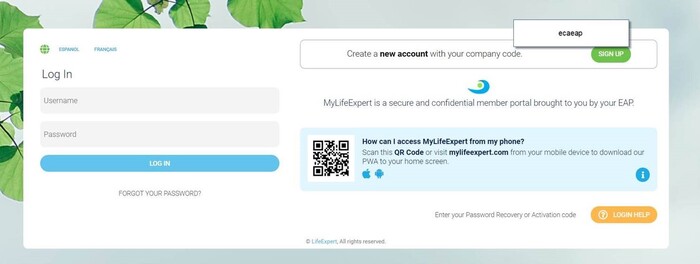 My Life Expert My Life Expert