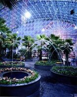 Crystal Gardens