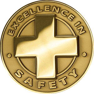 Congratulations to the NECA 2022 Recognition of Achievement in Safety Excellence Award Recipients!